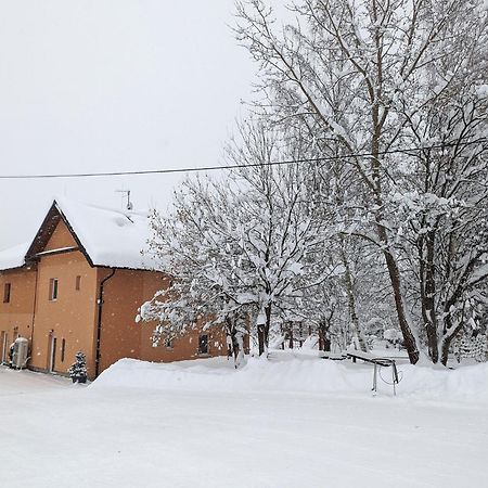 Apartments Nad Rybniky Horní Planá Zewnętrze zdjęcie