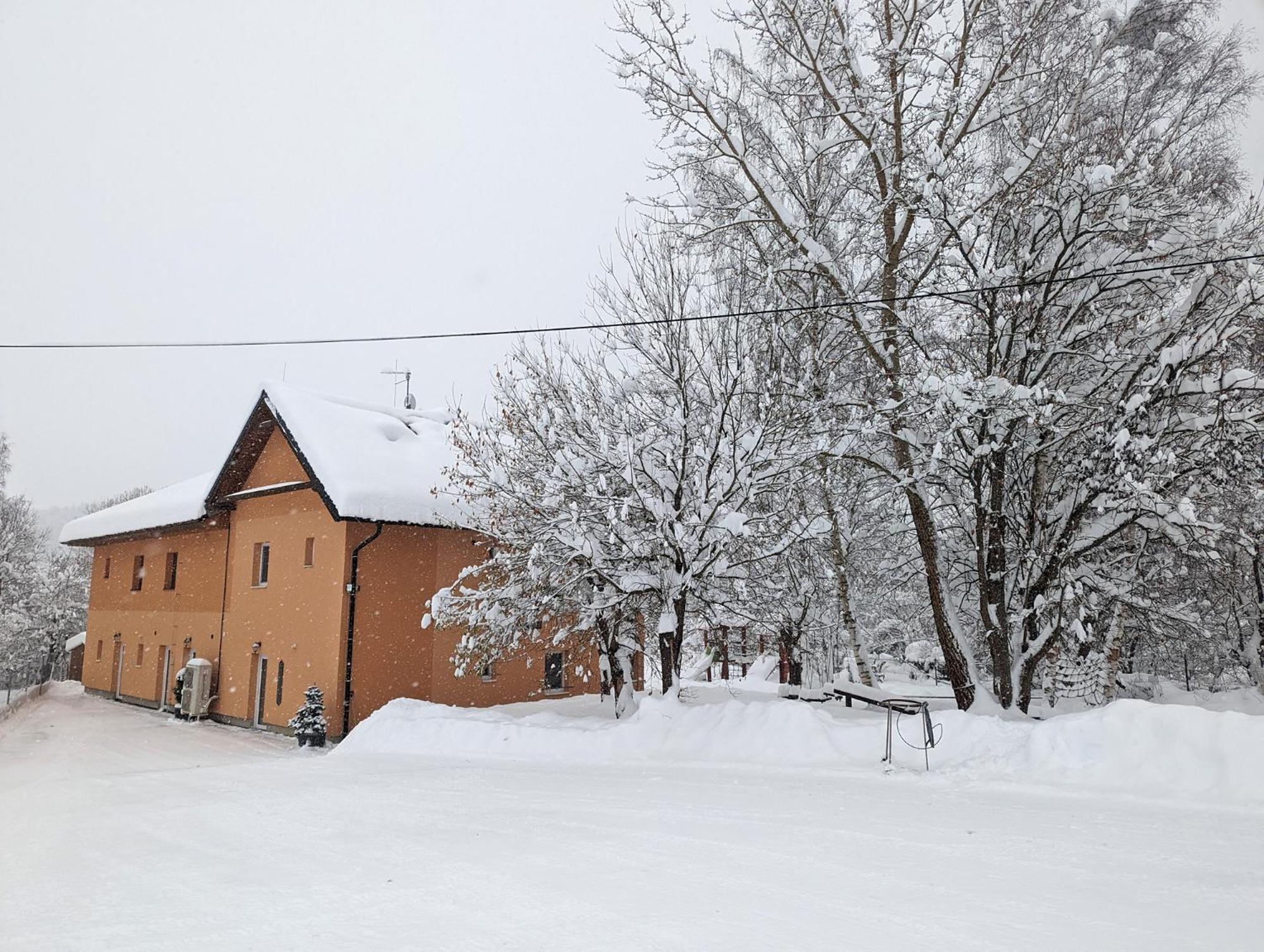 Apartments Nad Rybniky Horní Planá Zewnętrze zdjęcie